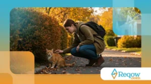 10 Dicas para Encontrar um Gato Perdido