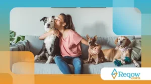 Como Escolher o Melhor Hotel para o Seu Cachorro
