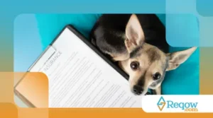 Como Escolher o Melhor Seguro para o Seu Pet