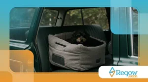 Como Lidar com Cães que Não Conseguem Ficar Quietos no Carro: Adestramento para Transporte