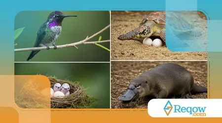 Quais são os animais que botam ovo?