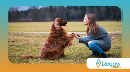 adestramento para cães surdos 