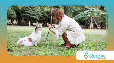 adestramento para cães surdos 