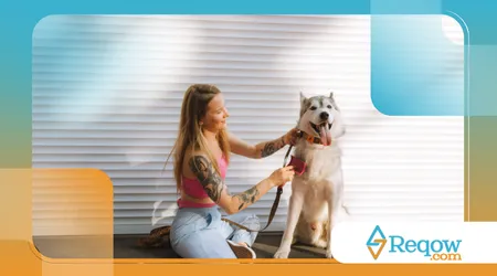 comandos complexos a cães inteligentes