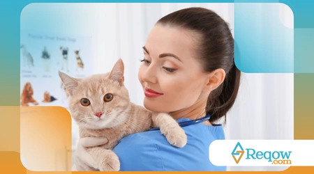 visitas ao veterinário