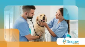 Pets e visitas ao veterinário: como preparar seu animal e diminuir o estresse
