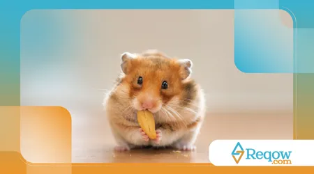 pets que comem rápido demais