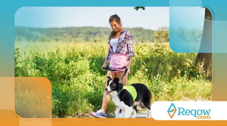 importância dos passeios para a saúde mental do cachorro 