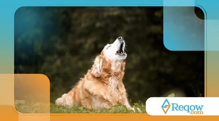 cachorros que uivam com sons específicos