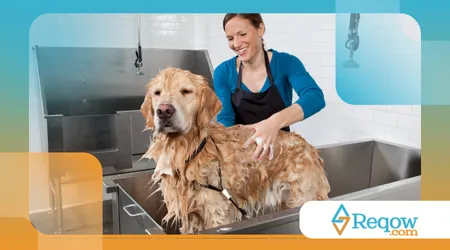 criar um cronograma de banho para cães de pelo curto e longo