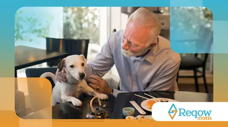 ensinar o cão a se comportar em restaurantes pet friendly