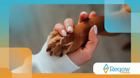 estimular mentalmente o seu cachorro