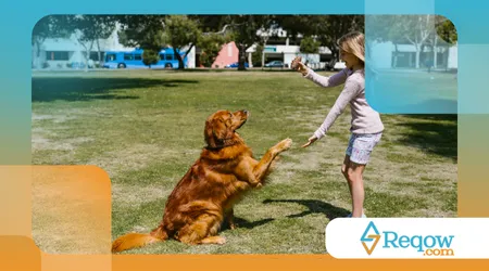 estimular mentalmente o seu cachorro