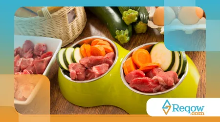 Alimentação natural