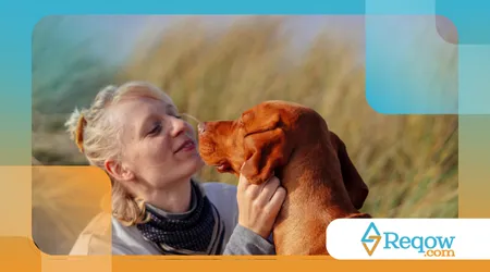 Como os cães reconhecem o cheiro do tutor