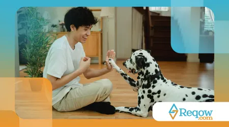 Como os cães reconhecem o cheiro do tutor