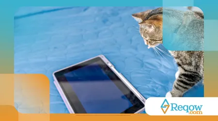 Dispositivos Inteligentes para Pets