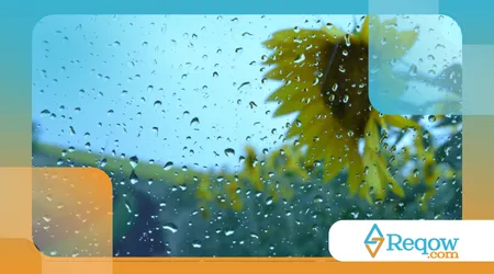 Maneiras de entreter o cão em dias de chuva