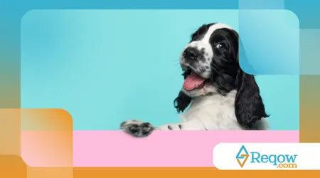 Por que alguns cães parecem sorrir