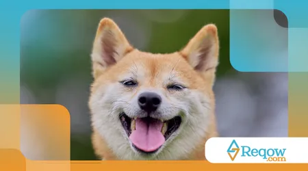 Por que alguns cães parecem sorrir