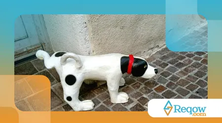 Por que os cães levantam a pata para fazer xixi