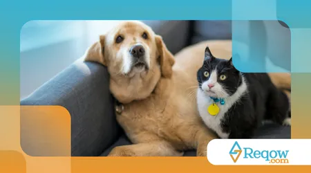 Suplementos para pets idosos