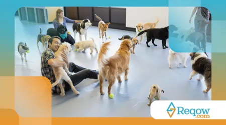 escolher a creche canina ideal