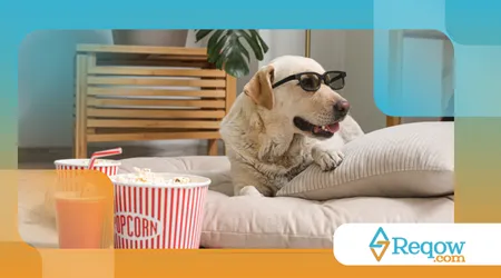 Cães que trabalharam em filmes e séries famosas