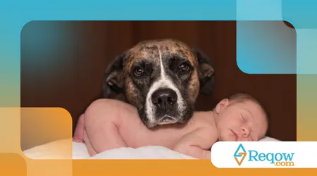 apresentar o cão a um bebê recém-nascido
