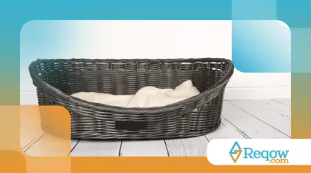 comprar uma nova cama para o cão