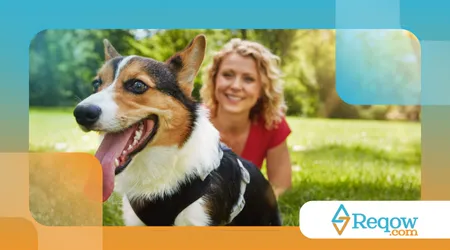 importância de brincar com o cão todos os dias