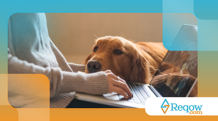 manter o cão ocupado enquanto o tutor trabalha