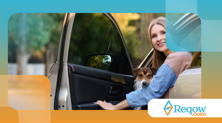 ensinar o cão a entrar e sair do carro