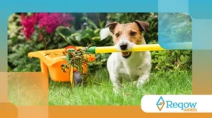 Como evitar que o cão destrua plantas no quintal