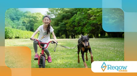 evitar que o cão persiga bicicletas ou motos