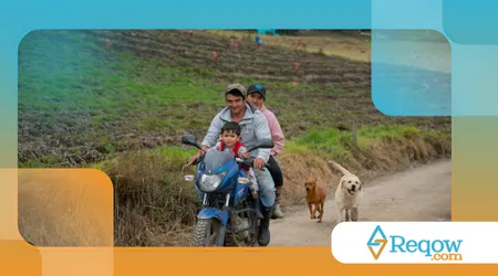 evitar que o cão persiga bicicletas ou motos