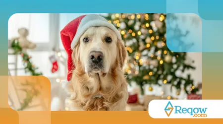 petiscos natalinos para cães