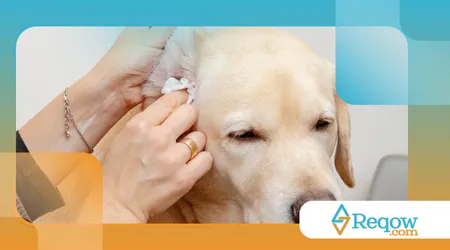 protetor auricular para cães