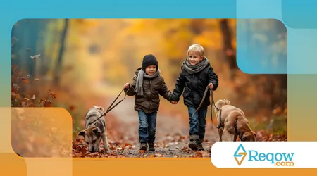 rotina de passeios que realmente beneficie o cão