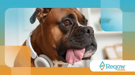 sons relaxantes no bem-estar canino