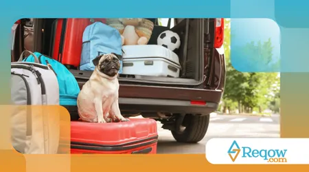 viagem comcachorro ano novo