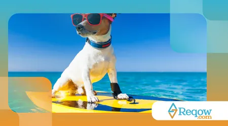 viagem comcachorro ano novo