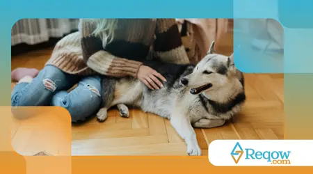 horário da refeição em um momento educativo