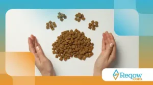 Como transformar o horário da refeição em um momento educativo