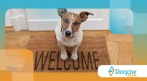 Como preparar sua casa para receber um cão idoso