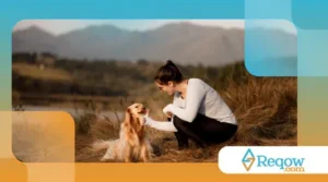 Como cuidar da saúde emocional do tutor após adotar um pet com histórico de trauma