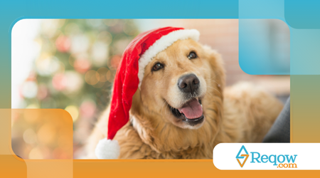 Como os cães reagem às decorações de Natal