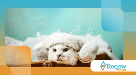 alimentos proibidos para pets no natal