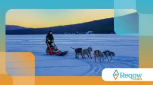 A incrível história dos cães de trenó no Alasca