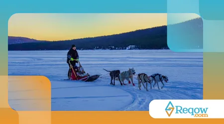 história dos cães de trenó no Alasca